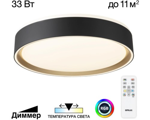 Потолочный светильник Boss CL751251G Citilux