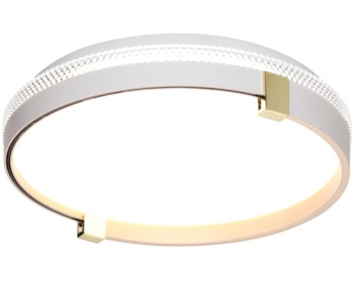 Настенно-потолочный светильник Olidi White 7646/CL Sonex