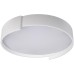 Потолочный светильник Coin 10200 White Loft It