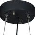 Подвесная люстра Ragno A2043SP-6BK Arte Lamp