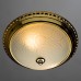 Потолочный светильник Alta A3013PL-2GO Arte Lamp
