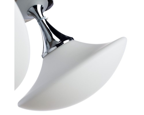 Потолочная люстра Aqua-sfera A2550PL-3CC Arte Lamp