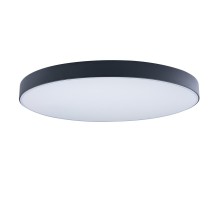 Потолочный светильник Axel 10002/48 Black Loft It