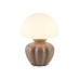 Интерьерная настольная лампа High Light LH53247 Ambrella