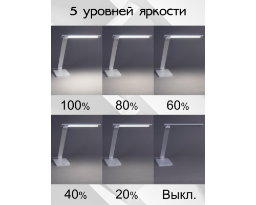 Офисная настольная лампа Ньютон CL803080 Citilux