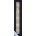 Настенный светильник Stintino LSL-8701-05 Lussole