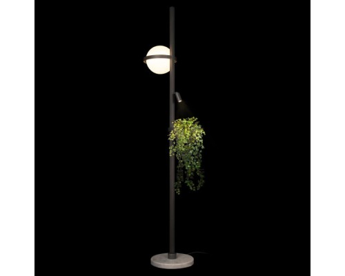 Торшер Jardin 10121/F Dark grey Loft It
