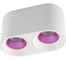 Точечный светильник Rodvig DK3096-WH+PI Denkirs