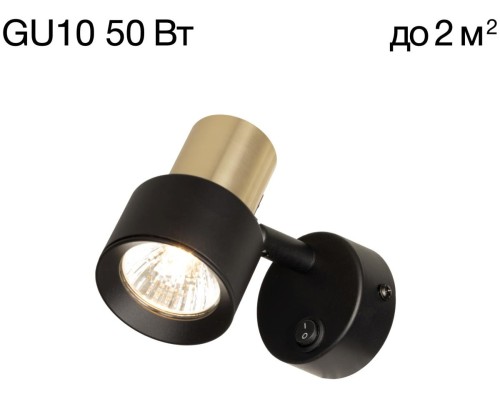 Спот Sat CL505611 Citilux