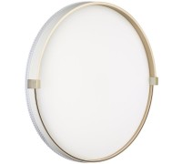 Настенно-потолочный светильник Olidi White 7646/DL Sonex