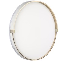 Настенно-потолочный светильник Olidi White 7646/DL Sonex