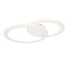 Потолочная люстра Fenna 67120-40 Globo