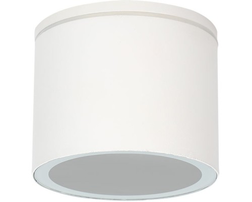 Потолочный светильник уличный Piautos A1913PF-1WH Arte Lamp