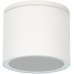 Потолочный светильник уличный Piautos A1913PF-1WH Arte Lamp