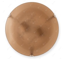Настенно-потолочный светильник Pauline TL9321Y-02SM TopLight