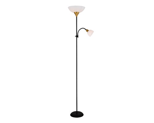 Торшер Duetto A9569PN-2BK Arte Lamp