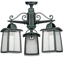 Потолочный светильник уличный FRANKFURT I 27370A 3 02 V Oasis Light