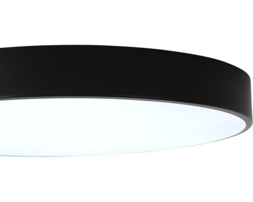Потолочный светильник Tortty ZRS.02563.96 Zortes