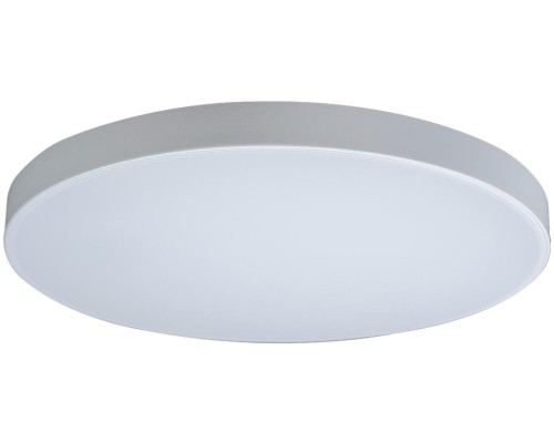 Потолочный светильник Axel 10002/48 White Loft It