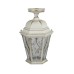 Потолочный светильник уличный ASTORIA 2M 91405MA Gw ромб Oasis Light