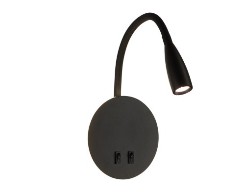 Спот  AM484 BK AM Group