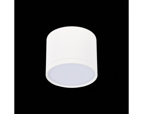 Точечный светильник Rene ST113.532.09 ST Luce