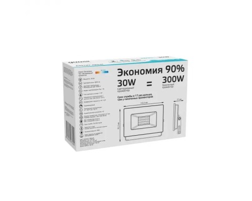 Прожектор уличный Elementary 613100230 Gauss