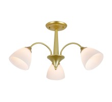 Потолочная люстра Ilex ES0000032 Escada