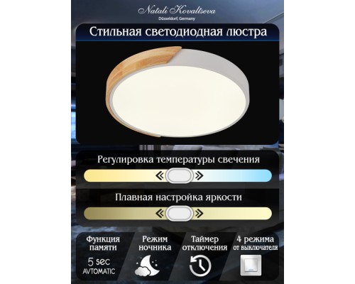 Потолочный светильник Scandinavian LED LAMPS 81181 Natali Kovaltseva