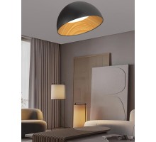 Потолочный светильник  F0724-10 Alfa Light