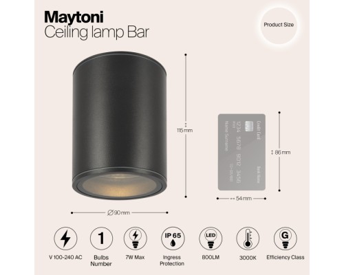 Потолочный светильник уличный Bar O306CL-L7GF Maytoni