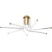 Потолочная люстра Lora ZRS.57784.07 Zortes