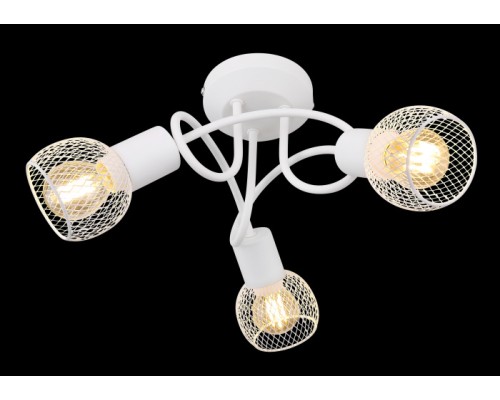 Потолочная люстра Fiastra 54028-3W Globo
