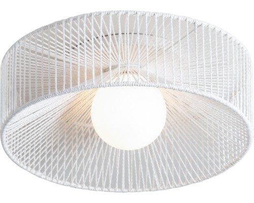 Потолочный светильник Cottage FR5405CL-01W Freya