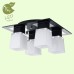 Потолочная люстра Lente GRLSC-2507-04 Lussole Loft