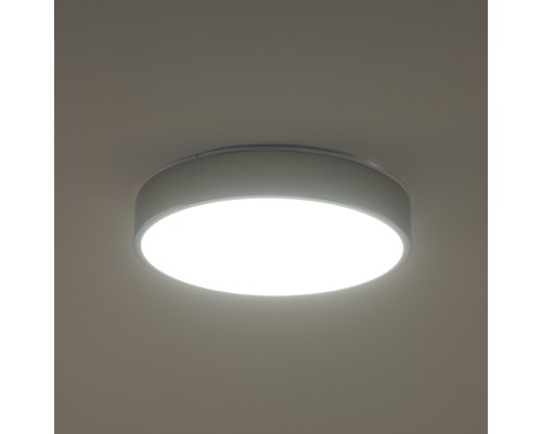 Потолочный светильник Tortty ZRS.02565.36 Zortes