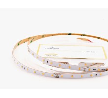 Светодиодная лента  006079 LEDS Power