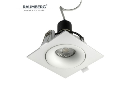 Точечный светильник  R201Wh Raumberg