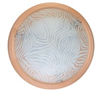 Настенно-потолочный светильник Agatha TL9260Y-00PN TopLight