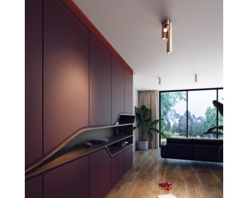 Точечный светильник Duetta 3895/1C Odeon Light