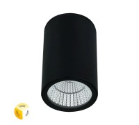 Потолочный светильник уличный Torcular A1307PF-1BK Arte Lamp