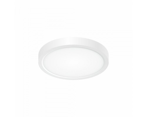 Потолочный светильник Бейсик CL738120N Citilux