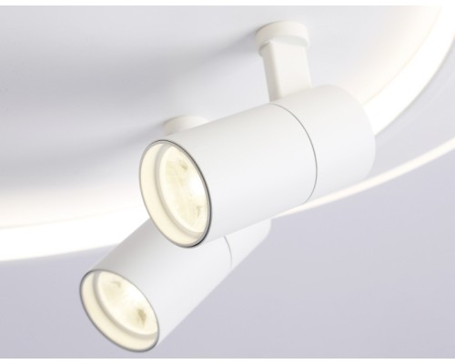 Настенно-потолочный светильник Comfort FL51391 Ambrella
