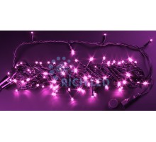 Гирлянда  RL-S10CF-24V-B/P Rich LED