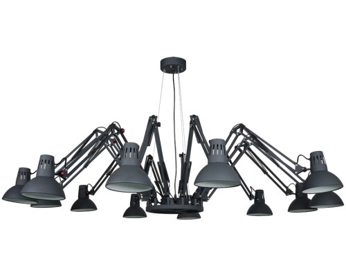 Подвесная люстра Ragno A2043SP-12BK Arte Lamp