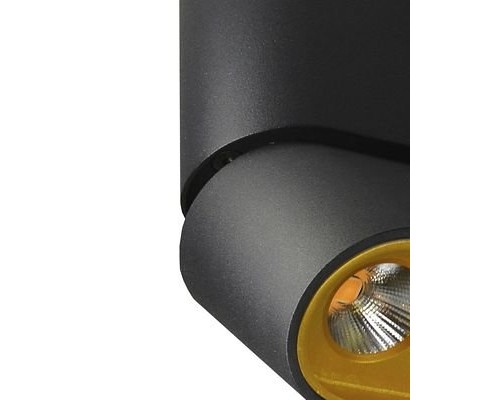 Спот Фергус 8005/3CS-BK-GD Lumien Hall