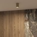 Точечный светильник TUBE DK2050-SG Denkirs
