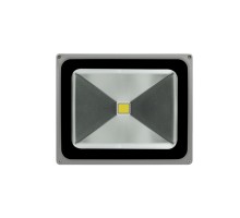 Прожектор уличный  FL-COB-50-WW-S SWG
