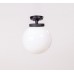 Потолочный светильник уличный GLOBO L 88205LA Bl Oasis Light