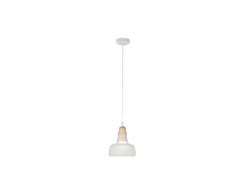 Подвесной светильник Puro AP9006-1B WH iLamp